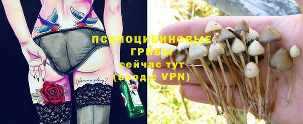 трава Бородино