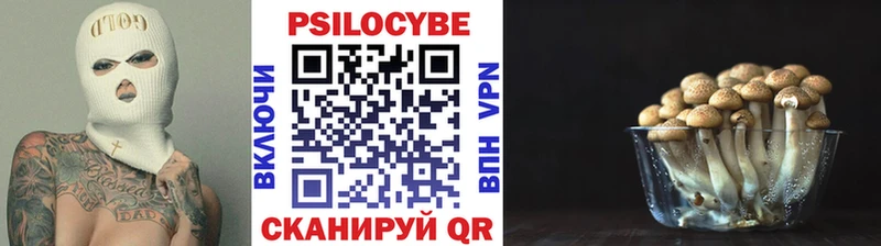 где продают наркотики  Дагестанские Огни  Галлюциногенные грибы мицелий 
