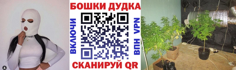 цена наркотик  Дагестанские Огни  Бошки марихуана Ganja 